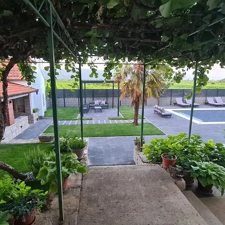 Olea
