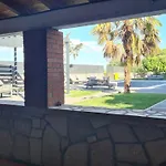Olea *