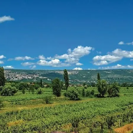 ヴィラ Olea Zmijavci