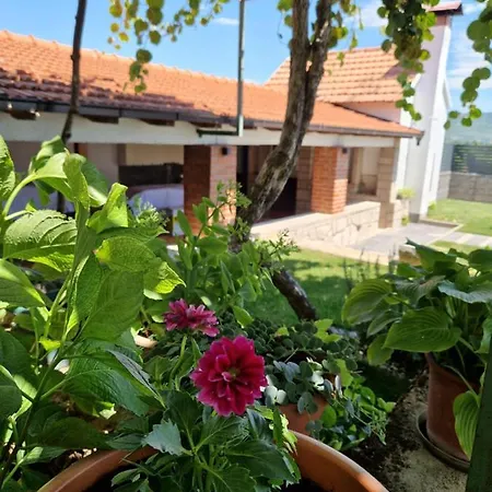 Villa Olea Zmijavci